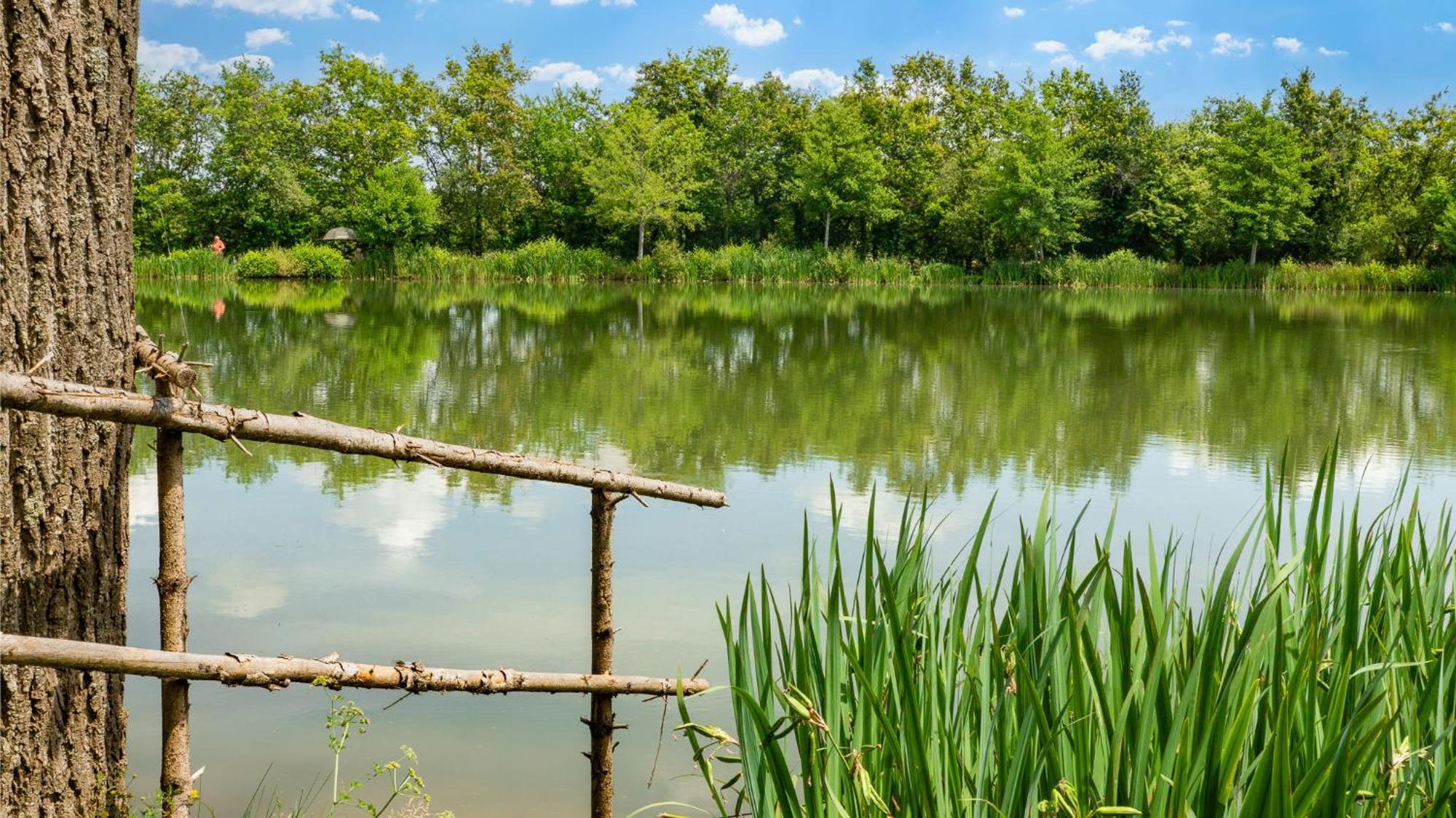 Camping Aubigny-Les Clouzeaux Aubigny  Exteriör bild